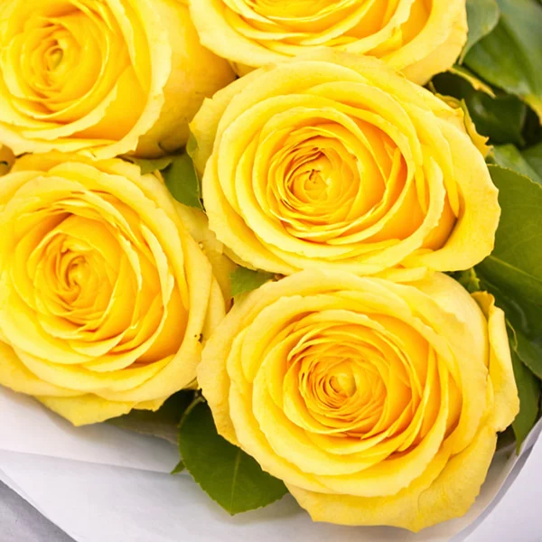 Букет высоких желтых роз (70 см)